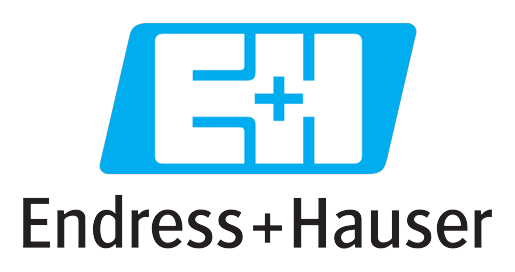 Endress+Hauser